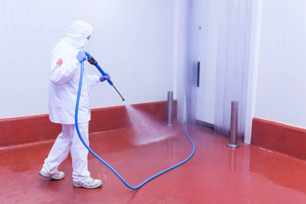 Best Pre-Holiday Cleaning  in Hampton, GA